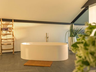 Modernes Badezimmer mit ovaler Badewanne und Holzleiter