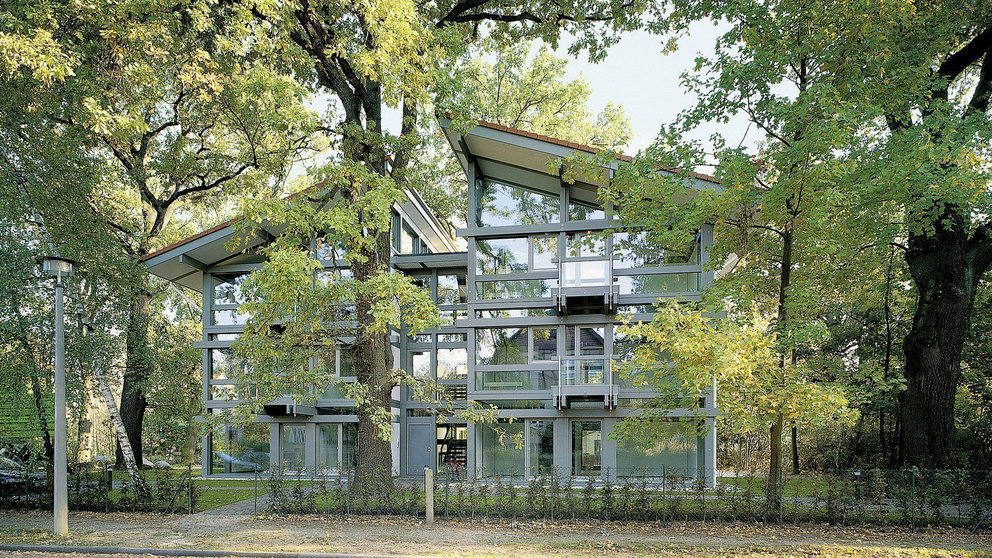 Offene und großzügige Architektur inmitten von Bäumen