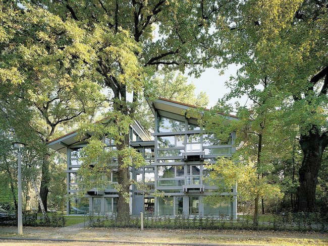 Offene und großzügige Architektur inmitten von Bäumen