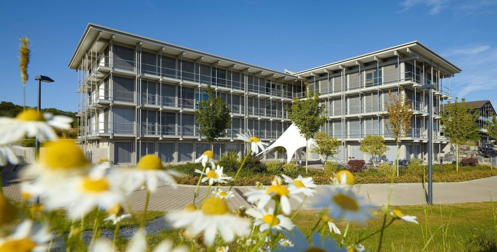 Ein modernes Gebäude umgeben von blühenden Margeriten und Grünflächen