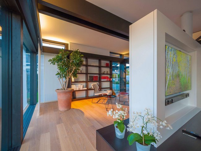 Helles Wohnzimmer mit Pflanzen, Bücherregalen und zeitgenössischem Design