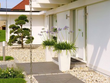 Fachwerkhaus HUF HAUS ART 4 mit Garten Moderne Architektur mit Pflanzen und flachem Eingang.