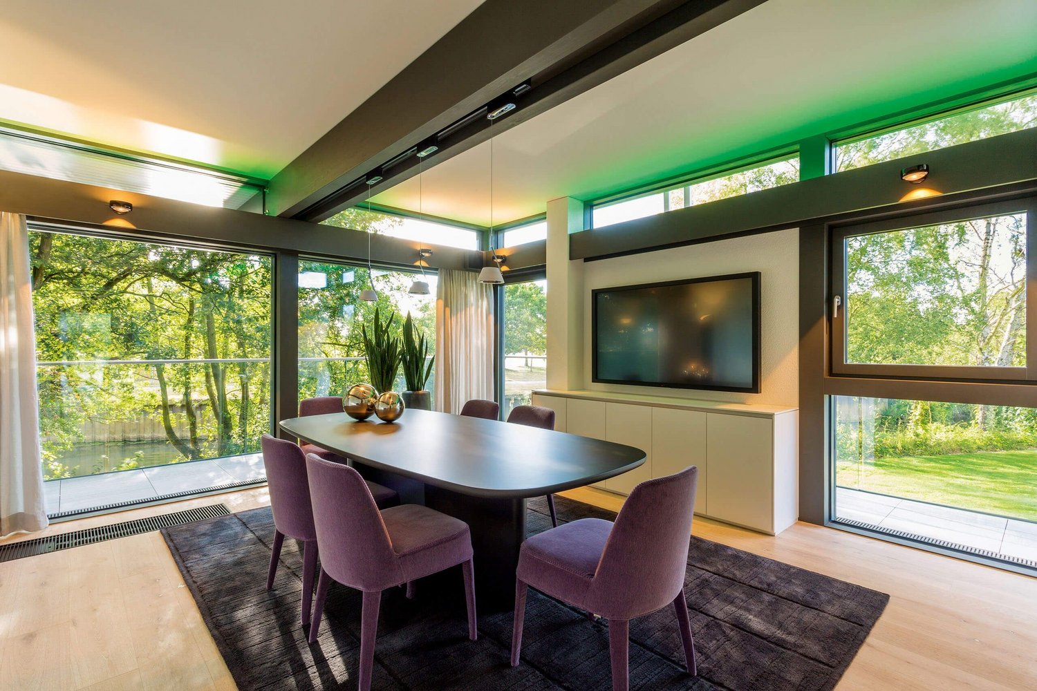 Elegantes Esszimmer mit Pflanzen, TV und Aussicht auf den Garten
