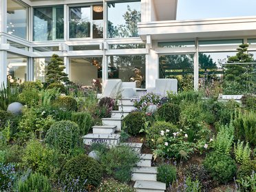 Architektenhaus mit großzügigem Garten und lebendiger Pflanzenvielfalt