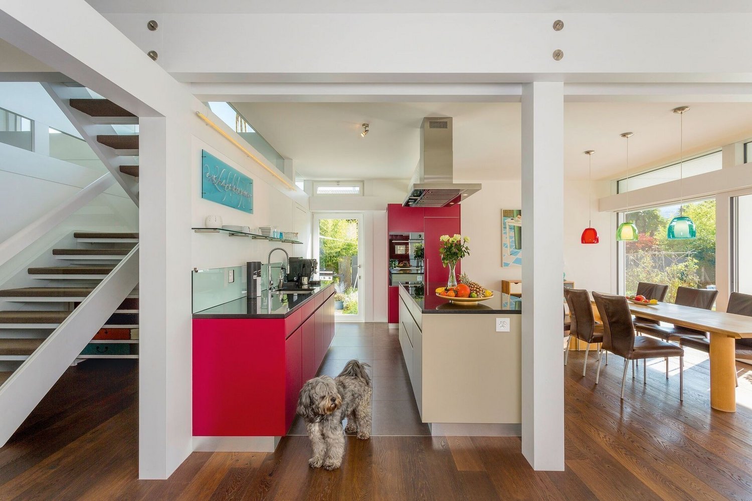 Ein Innenraum mit offener Küche und einem Hund, moderne Architektur