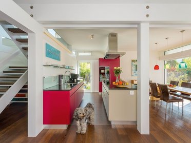 Ein Innenraum mit offener Küche und einem Hund, moderne Architektur