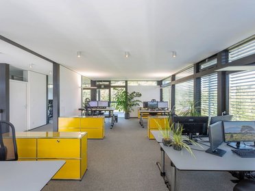 Innenansicht eines modernen Büros mit gelben Schreibtischen und Pflanzen