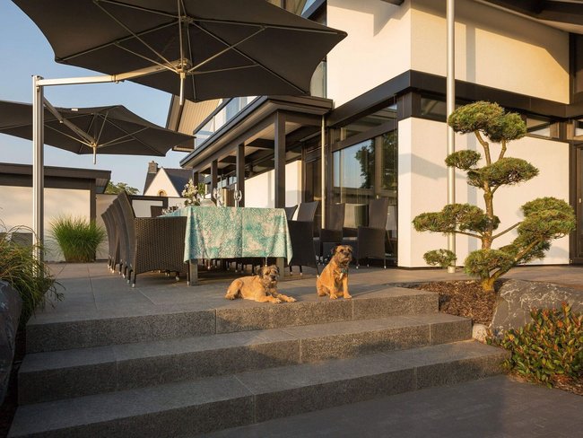 Moderne Architektur mit Terrassengestaltung und Hunden Außenbereich einer modernen Architektur mit Tisch und zwei Hunden auf den Treppen