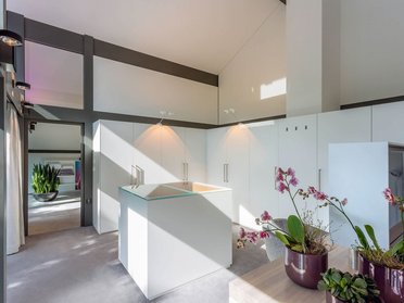 Elegante Küche mit Pflanzen, Schränken und viel Licht