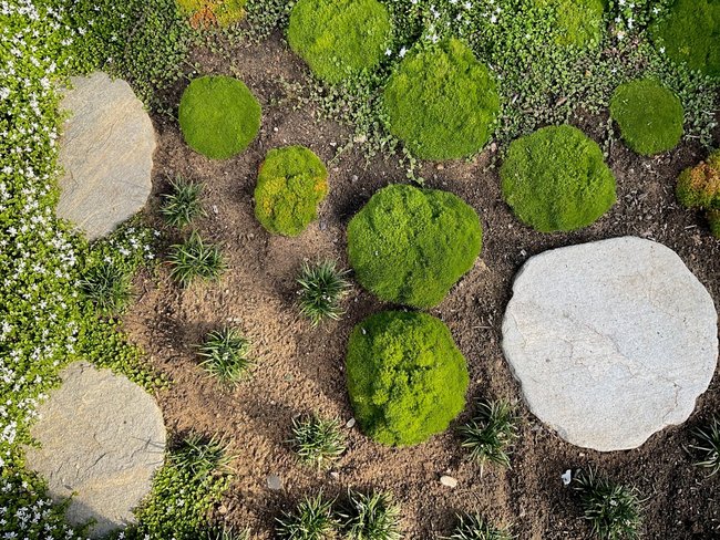 Anordnung von Steinen und Moos in einer Gartenlandschaft