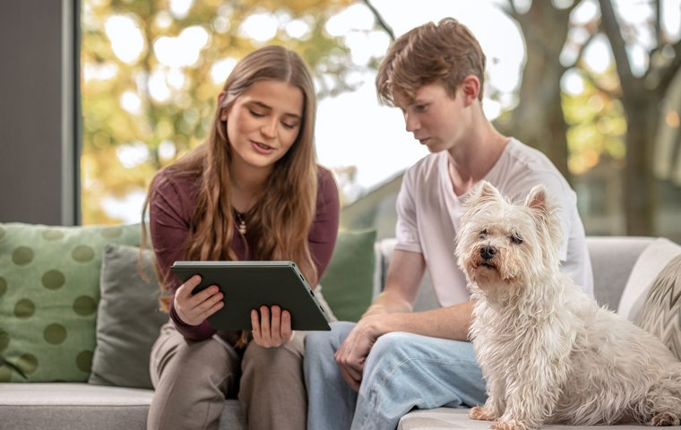 Junge und Mädchen mit Hund beim Tablet schauen Praktikant (m/w/d)