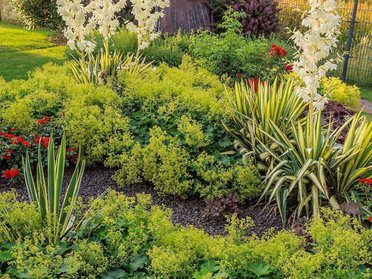 Bunte Blumen und Pflanzen um eine Moai-Skulptur in einem Garten
