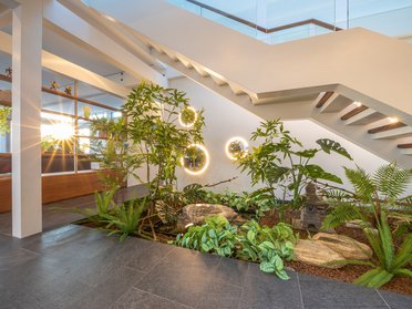 Helle Eingangshalle mit Treppe und Pflanzenarrangement